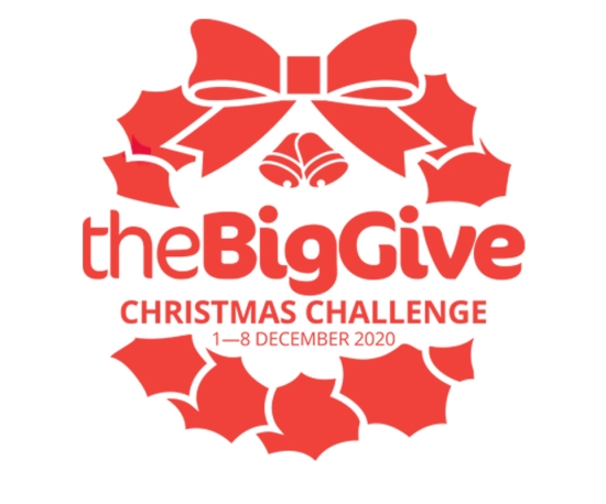 Big Give Christmas Challenge 2020