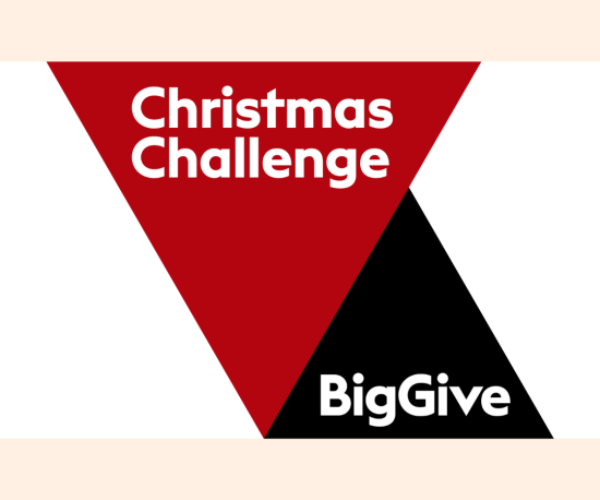 Big Give Christmas Challenge 2025