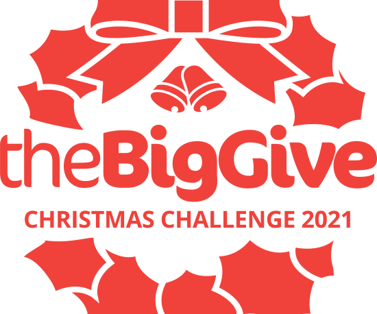 Big Give Christmas Challenge 2021