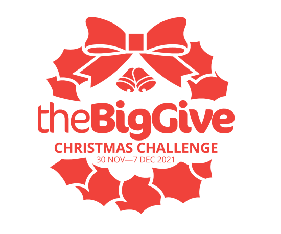 Big Give Christmas Challenge 2021