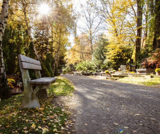 Join Quaker Social Action for a reflective and educational guided walk at Tower Hamlets Cemetery Park